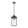 Lamplighter 1-Light Hanging in Matte Black with Seedy Glass Outdoor Elk Lighting 
