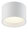 Reel 120-277v Dimmable LED Flush Mount - White (WH) Ceiling Access Lighting 