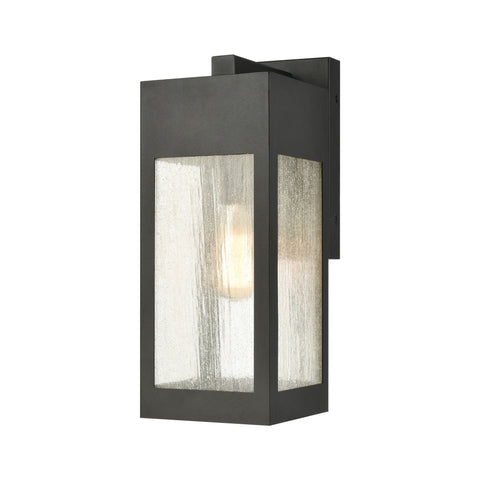 Angus 1-Light Outdoor Sconce in Charcoal with Seedy Glass Enclosure