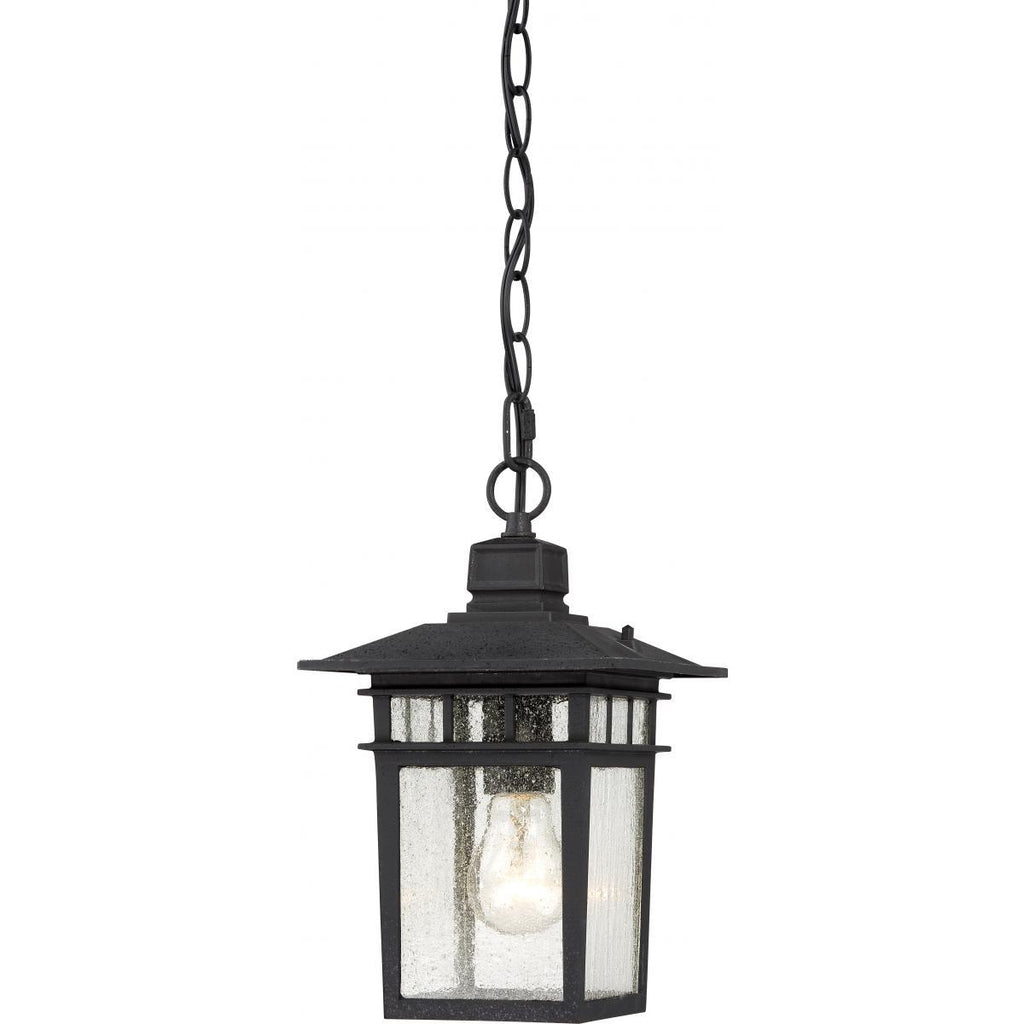 Cove Neck 12" Outdoor Hang with Clear Seed Glass Outdoor Nuvo Lighting 