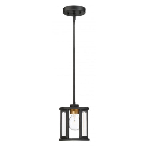 Payne Mini Pendant With Clear Beveled Glass Ceiling Nuvo Lighting 