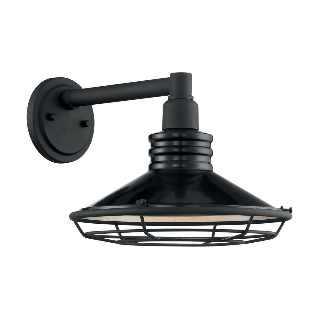 Blue Harbor 1 Light Sconce with Black and Silver & Black Accents Finish