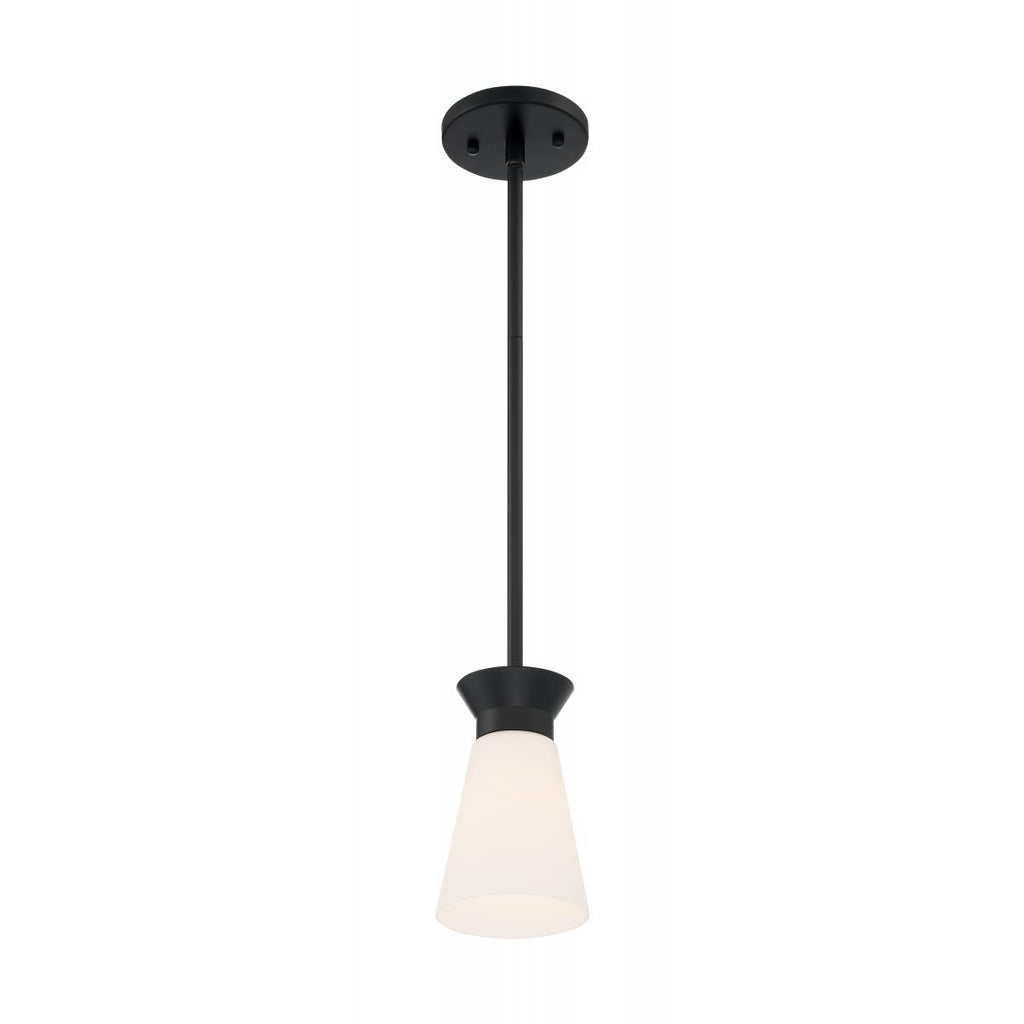 Caleta 1 Light Mini Pendant with Cylindrical Glass Black Finish