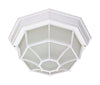 LED Spider Cage Fixture; White with Frosted Glass