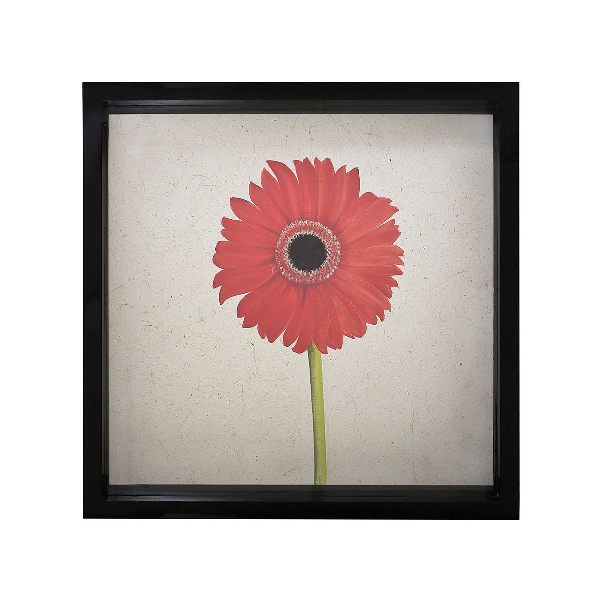 Gerber Daisy 21" Wall Art Wall Art Dimond Home 