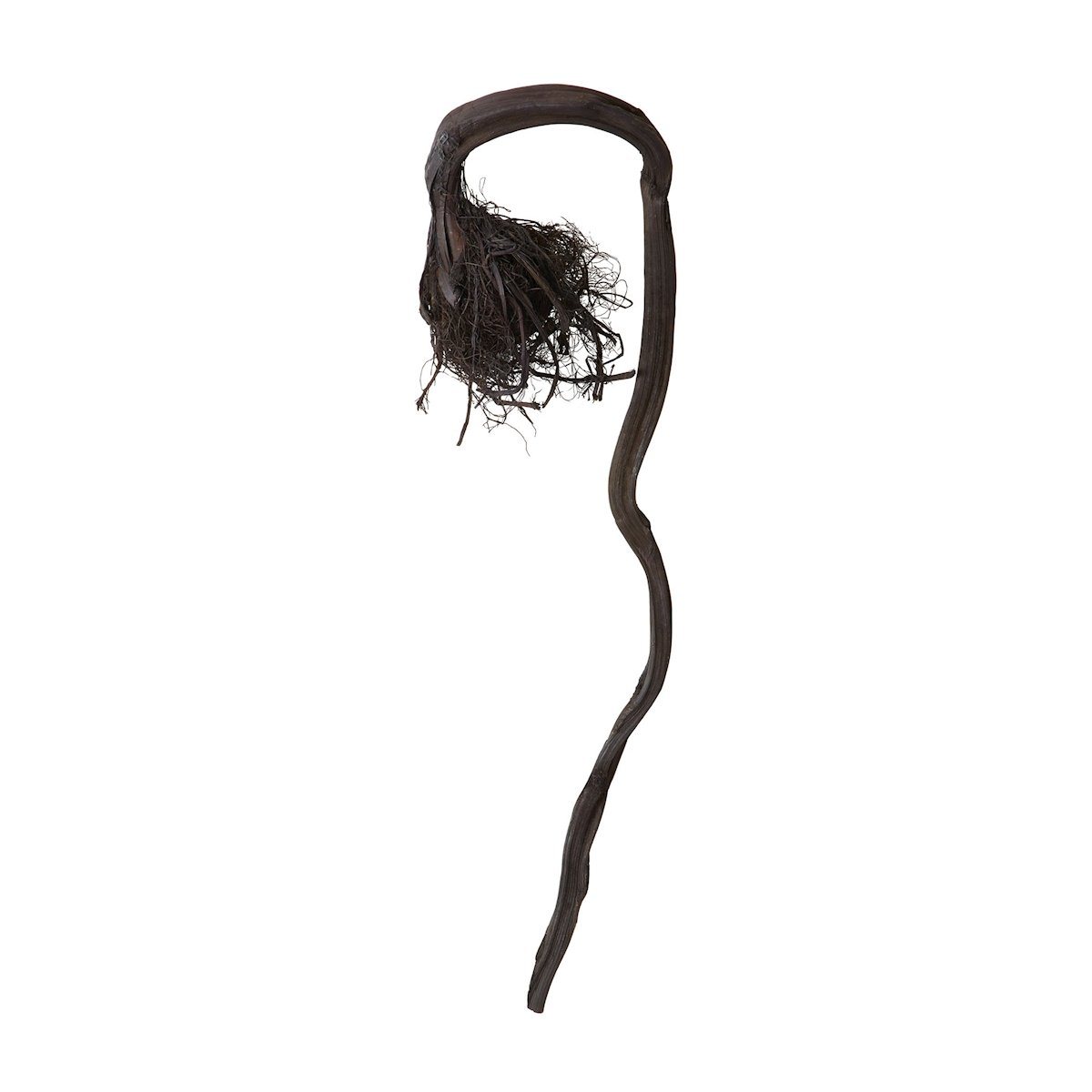 Curly Black 28"l Kelp Root Accessories Dimond Home 