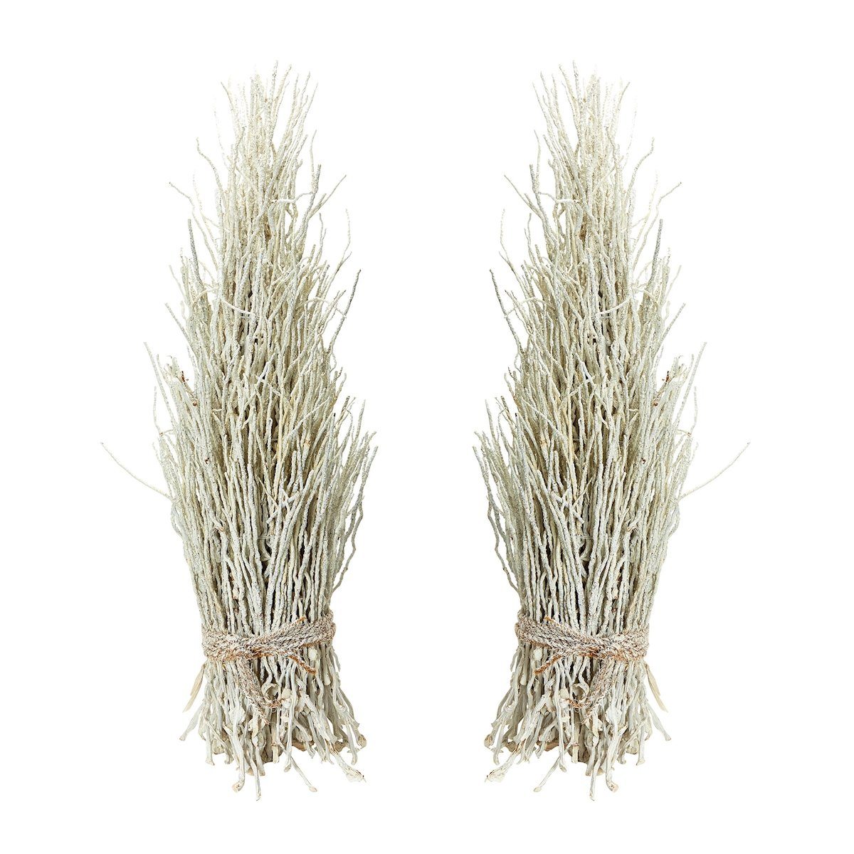 White Washed Cocoa Twig Sheaf - Set of 2 Accessories Dimond Home 