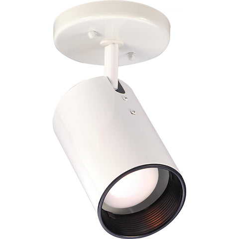 R20 Straight Cylinder Ceiling Nuvo Lighting 