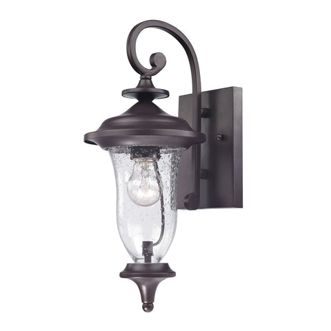 Trinity 1-Light Coach Lantern in Oil Rubbed Bronze - Small Outdoor Lighting Thomas Lighting 
