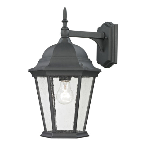 Temple Hill 1-Light Coach Lantern in Matte Textured Black - Medium Outdoor Lighting Thomas Lighting 