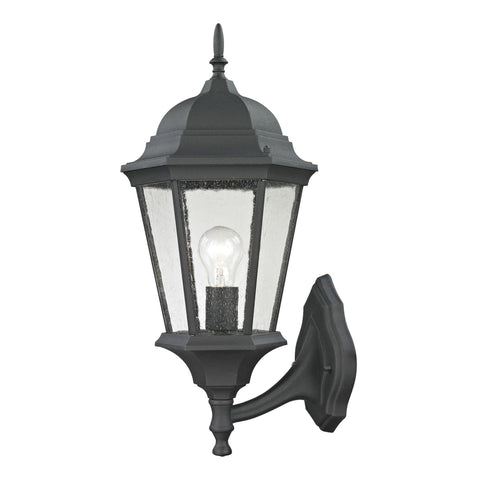 Temple Hill 1-Light Coach Lantern in Matte Textured Black - Large Outdoor Lighting Thomas Lighting 