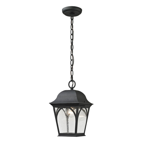 Cape Ann 1-Light Pendant Lantern in Matte Textured Black - Small Outdoor Lighting Thomas Lighting 