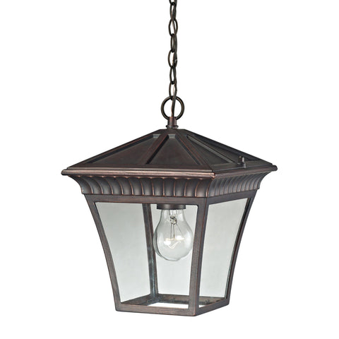Ridgewood 1-Light Pendant Lantern in Hazelnut Bronze - Medium Outdoor Lighting Thomas Lighting 