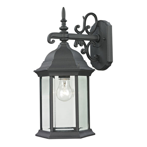 Spring Lake 1-Light Coach Lantern in Matte Textured Black - Medium Outdoor Lighting Thomas Lighting 