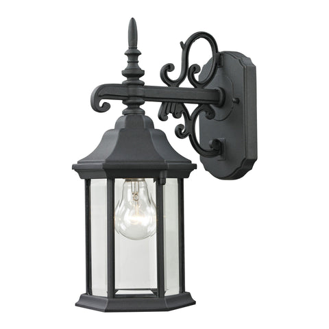 Spring Lake 1-Light Coach Lantern in Matte Textured Black - Small Outdoor Lighting Thomas Lighting 