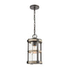 Crenshaw 1-Light Outdoor Pendant in Anvil Iron and Distressed Antique Graywood with Seedy Glass
