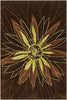 Dharma 7501 7'9 Round Brown Rug Rugs Chandra Rugs 