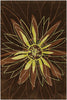 Dharma 7501 5'x7'6 Brown Rug Rugs Chandra Rugs 