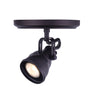 Polo Collection 2-Light Directional Ceiling/Wall Fixture - Oil Rubbed Bronze