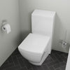 One Piece High Efficiency Low Flush Eco-Friendly Ceramic Toilet