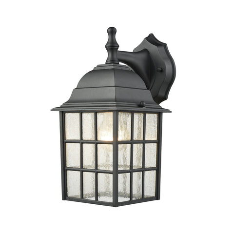 Holton 1-Light Outdoor Wall Sconce in Satin Black with Seedy Glass Outdoor Lighting Thomas Lighting 