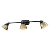 Duncan 3 Light Bath Vanity - Matte Black with Aged Brass Shade