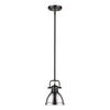 Duncan Mini Pendant with Rod - Matte Black with Chrome Shade