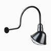 10" Gooseneck Light Angle Shade, QSNHL-C Arm (Choose Finish and Accessory Options) Outdoor Hi-Lite Black Wire Guard 