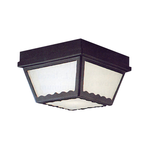 Essentials 2-Light Ceiling Lamp in Black Outdoor Lighting Thomas Lighting 