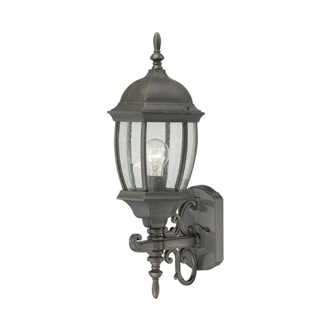 Covington 1-Light Outdoor Wall Lantern in Painted Bronze Outdoor Lighting Thomas Lighting 
