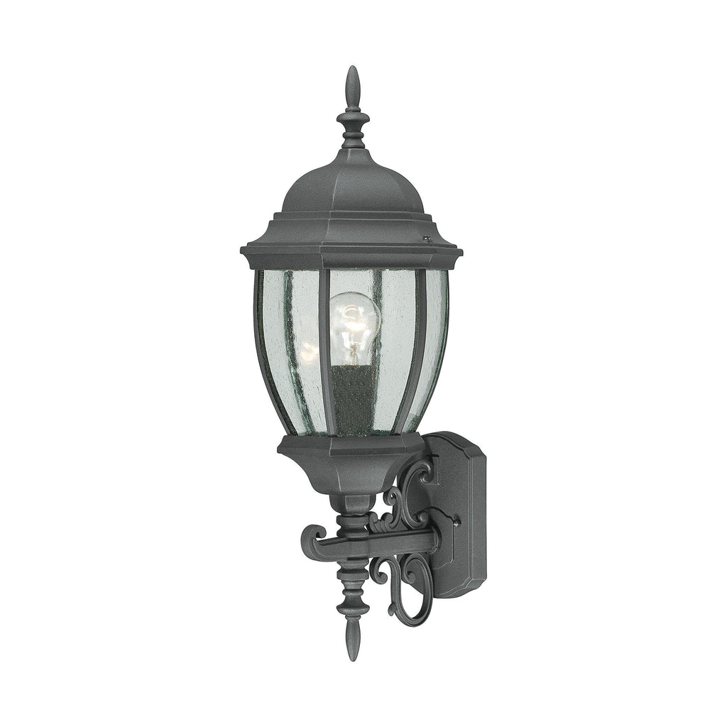 Covington 1-Light Outdoor Wall Lantern in Black Outdoor Lighting Thomas Lighting 