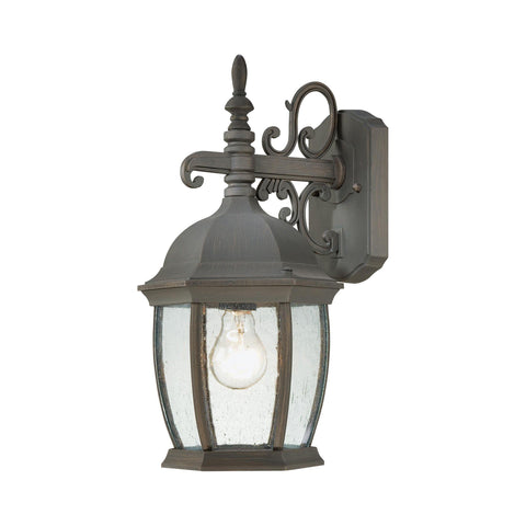 Covington 1-Light Outdoor Wall Lantern in Painted Bronze Outdoor Lighting Thomas Lighting 