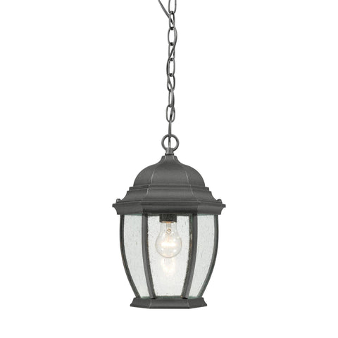 Covington 1-Light Pendant Lantern in Black Outdoor Lighting Thomas Lighting 